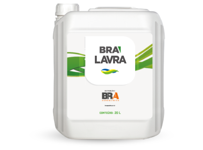 BRA Lavra
