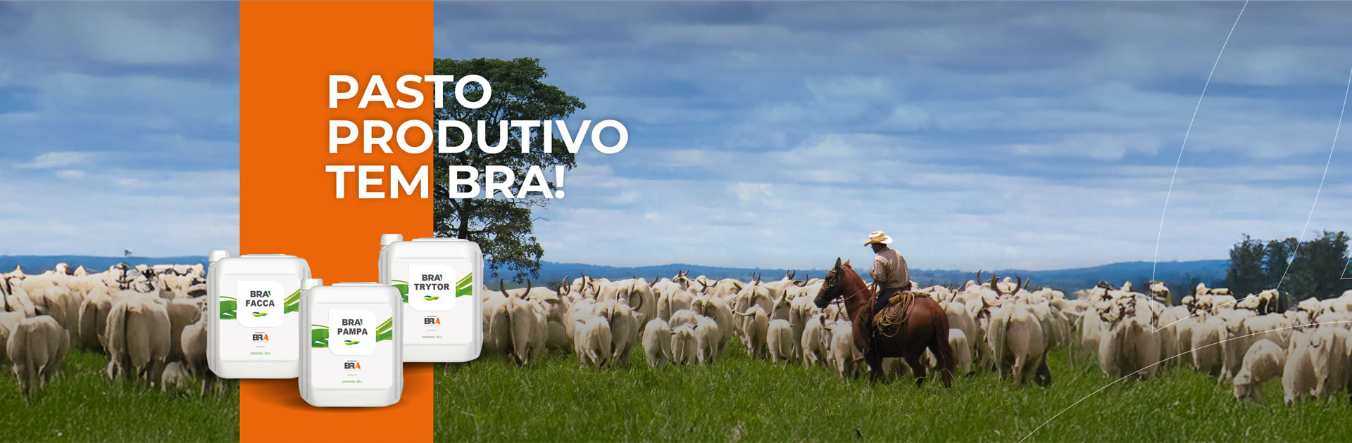 pasto produtivo tem BRA!