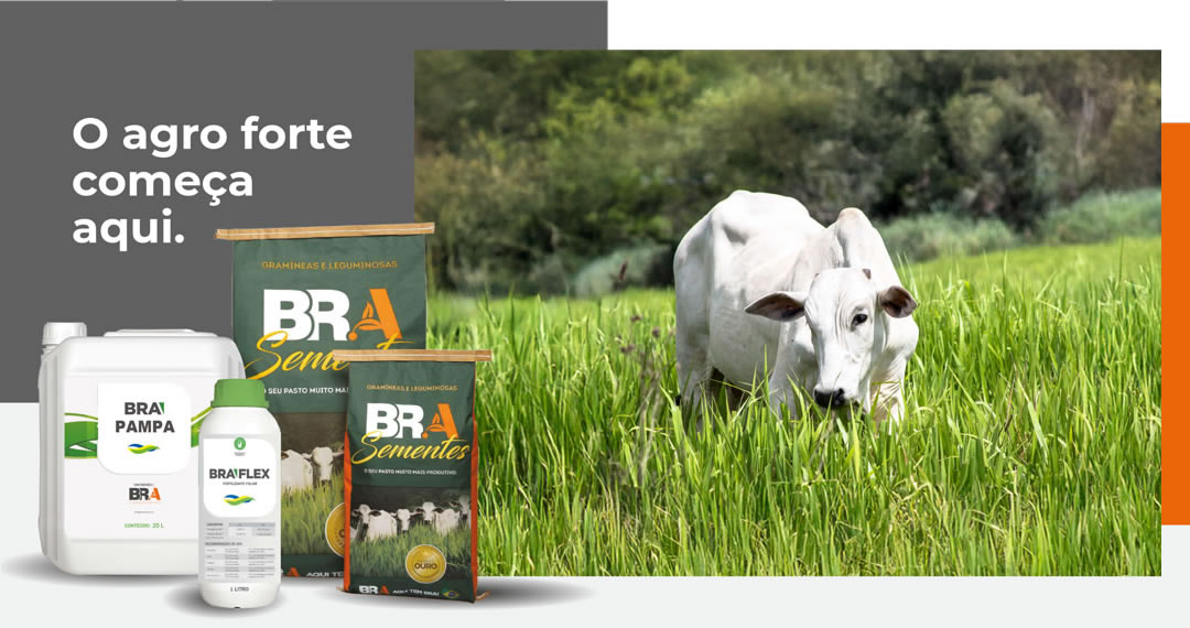 figura2 O agro forte começa aqui.