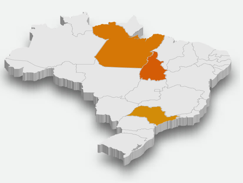 Empresa 100% Nacional