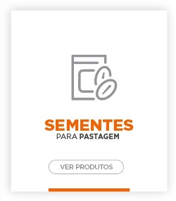 sementes para pastagem